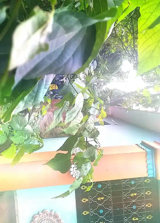 Arulmigu Tholanaipriya Kandan Sastha Temple, Near Rageswarar Temple, Therisanamkoppu - 629851