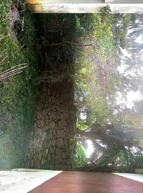 Arulmigu Tholanaipriya Kandan Sastha Temple, Near Rageswarar Temple, Therisanamkoppu - 629851 அருள்மிகு தோழனைப்பிரியா கண்டன் சாஸ்தா திருக்கோயில், Near Rageswarar Temple, Therisanamkoppu - 629851, Kanyakumari - Ancient Temple Architecture and History Image 4