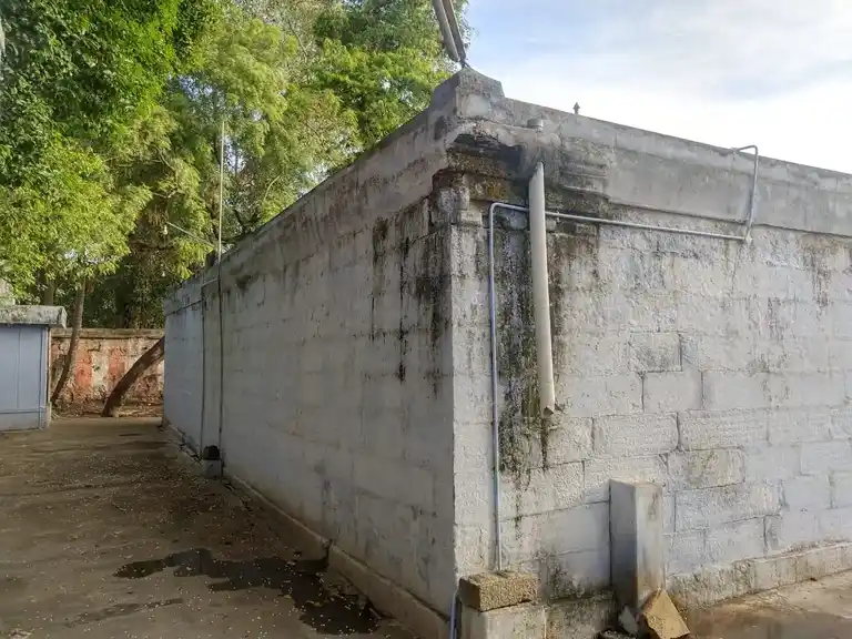 Arulmigu Thontarkal Nayinaar Temple, Thrirunelveli Town - 620076 தொண்டர்கள் நயினார் திருக்கோயில், Thrirunelveli Town - 620076, Tirunelveli - Ancient Temple Architecture and History Image 4