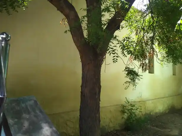 Arulmigu Thoonthi Vinayagar Temple, Srivaikundam - 628601 அருள்மிகு தூண்டிவிநாயகர் திருக்கோயில், Srivaikundam - 628601, Thoothukudi - Ancient Temple Architecture and History Image 2