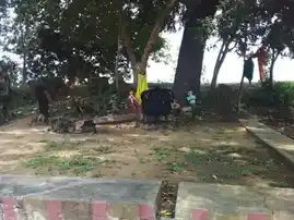 Arulmigu Thoothukkattu Ayyanar Temple, Thoothur - 622411 அருள்மிகு தூத்துகாட்டுஅய்யனார் திருக்கோயில், Thoothur - 622411, Pudukkottai - Ancient Temple Architecture and History Image 4