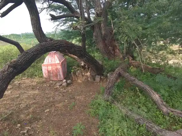 Arulmigu Thopayyan Malaikovil, Palapatty - 624710 Temple
