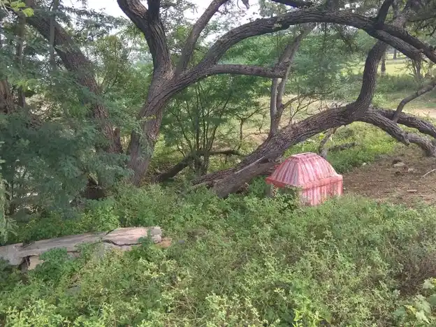 Arulmigu Thopayyan Malaikovil, Palapatty - 624710 அருள்மிகு தொப்பைய்யன்மாலைக்கோயில்-பாலப்பட்டி, வேடசந்தூர் வட்டம்,திண்டுக்கல். கோயில், பாலப்பட்டி - 624710, Dindigul - Ancient Temple Architecture and History Image 2