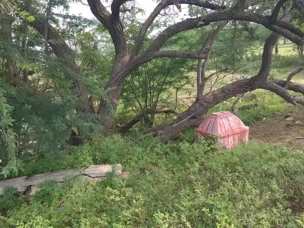 Arulmigu Thopayyan Malaikovil, Palapatty - 624710 அருள்மிகு தொப்பைய்யன்மாலைக்கோயில்-பாலப்பட்டி, வேடசந்தூர் வட்டம்,திண்டுக்கல். கோயில், பாலப்பட்டி - 624710, Dindigul - Ancient Temple Architecture and History Image 3