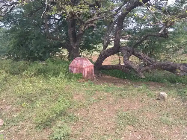 Arulmigu Thopayyan Malaikovil, Palapatty - 624710 அருள்மிகு தொப்பைய்யன்மாலைக்கோயில்-பாலப்பட்டி, வேடசந்தூர் வட்டம்,திண்டுக்கல். கோயில், பாலப்பட்டி - 624710, Dindigul - Ancient Temple Architecture and History Image 4