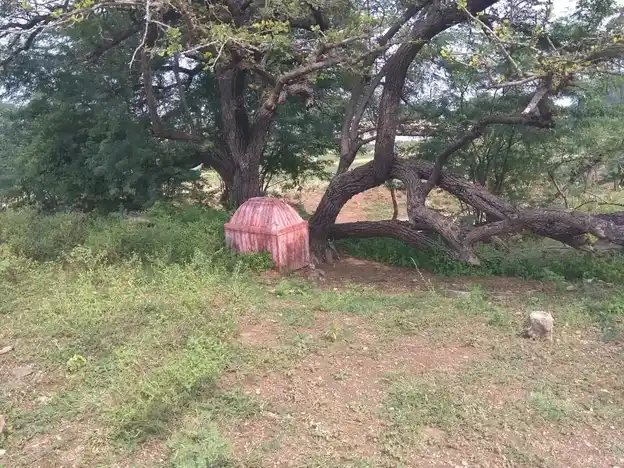 Arulmigu Thopayyan Malaikovil, Palapatty - 624710 அருள்மிகு தொப்பைய்யன்மாலைக்கோயில்-பாலப்பட்டி, வேடசந்தூர் வட்டம்,திண்டுக்கல். கோயில், பாலப்பட்டி - 624710, Dindigul - Ancient Temple Architecture and History Image 5