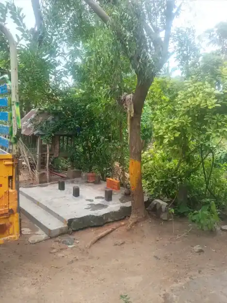 Arulmigu Thoppai Pillaiyar Temple, Pakkam - 605106 அருள்மிகு தொப்பை பிள்ளையார் திருக்கோயில், பாக்கம் - 605106, Viluppuram - Ancient Temple Architecture and History Image 3