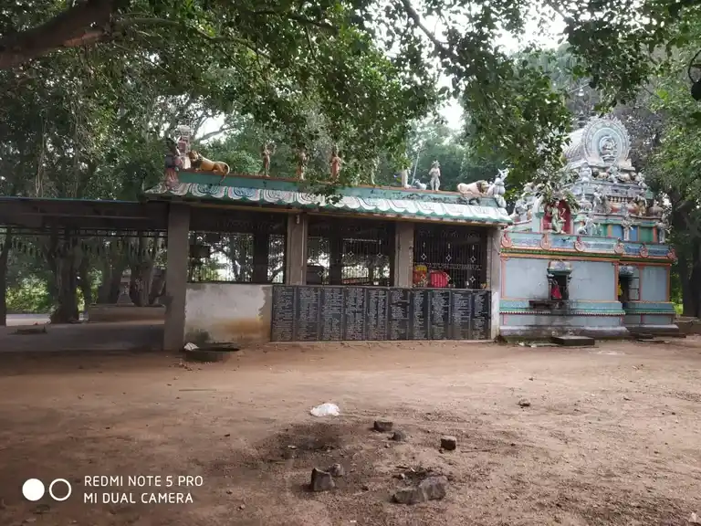 Arulmigu Thoppaiamman Temple, Forest Area, Pandravedu - 631303 அருள்மிகு தொப்பையம்மன் திருக்கோயில், Forest Area, Pandravedu - 631303, Tiruvallur - Ancient Temple Architecture and History Image 2