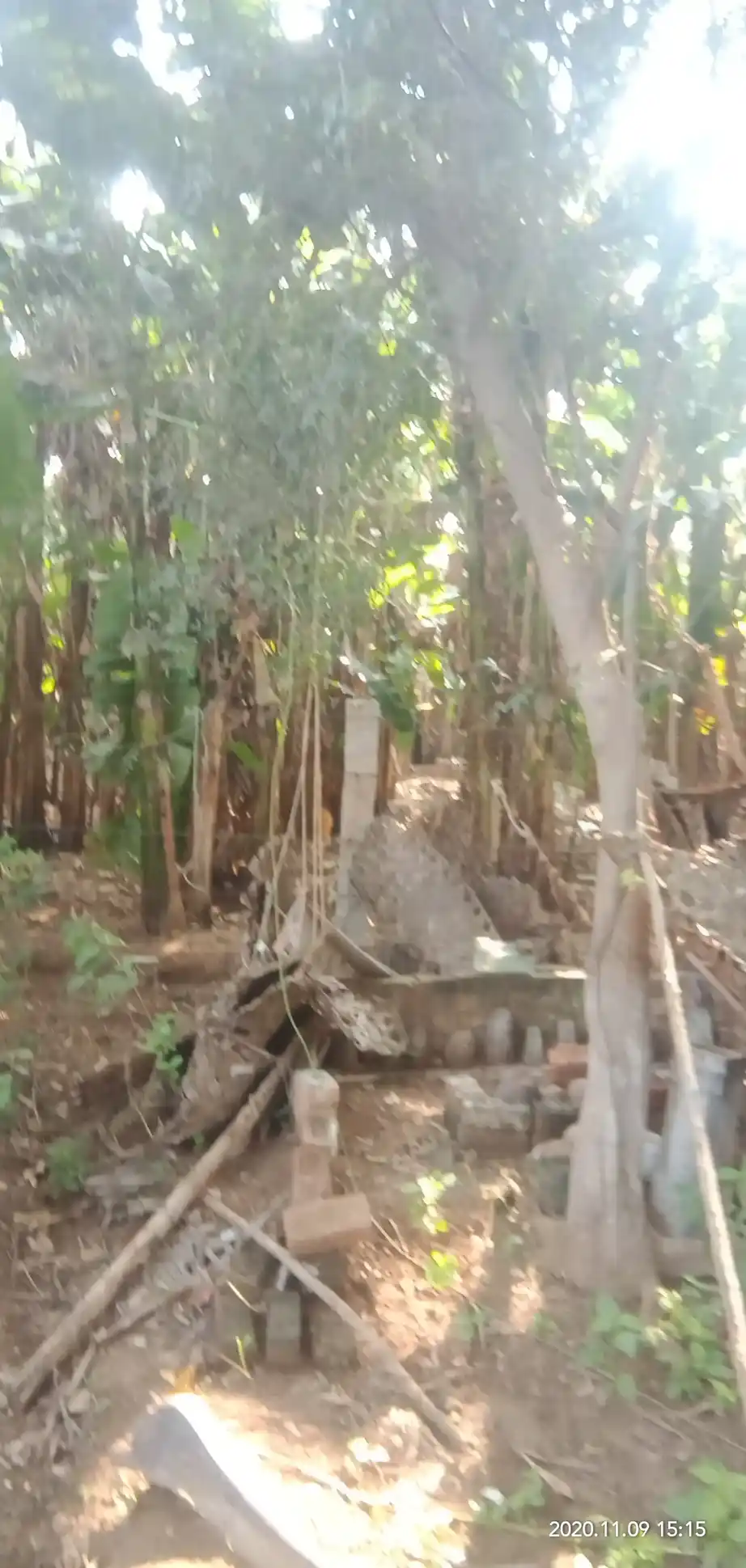 Arulmigu Thoppu Karuppannaswamy Temple, Kangayampalayam - 638104 Temple