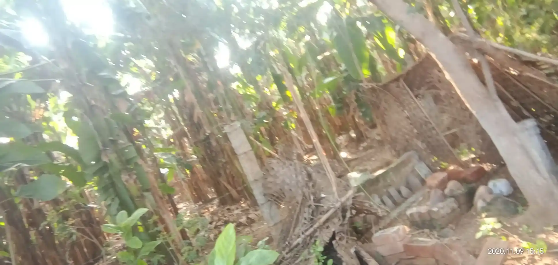 Arulmigu Thoppu Karuppannaswamy Temple, Kangayampalayam - 638104 அருள்மிகு தோப்புக்கருப்பண்ணசாமி திருக்கோயில், Kangayampalayam - 638104, Erode - Ancient Temple Architecture and History Image 3