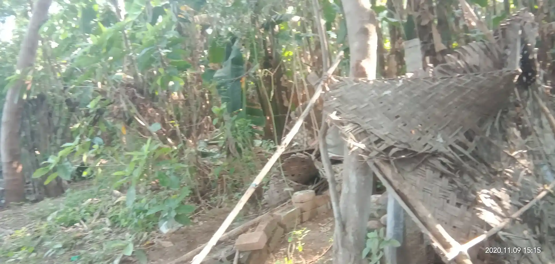 Arulmigu Thoppu Karuppannaswamy Temple, Kangayampalayam - 638104 அருள்மிகு தோப்புக்கருப்பண்ணசாமி திருக்கோயில், Kangayampalayam - 638104, Erode - Ancient Temple Architecture and History Image 5