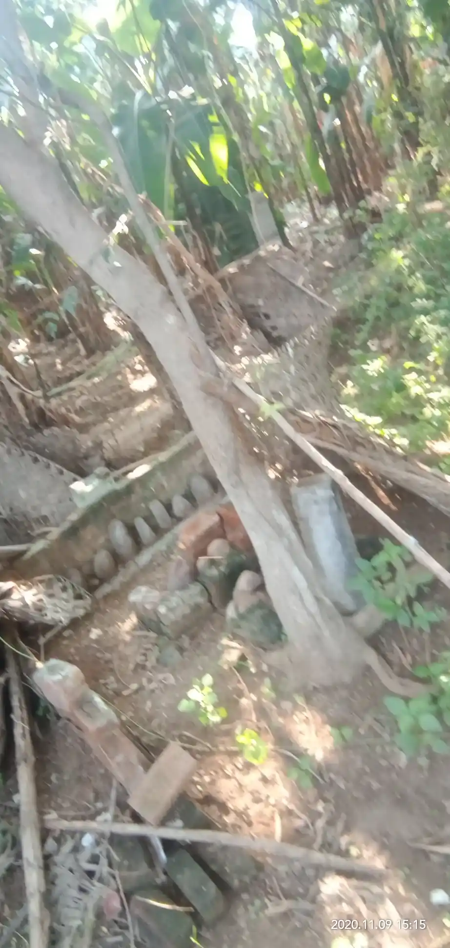 Arulmigu Thoppu Karuppannaswamy Temple, Kangayampalayam - 638104 அருள்மிகு தோப்புக்கருப்பண்ணசாமி திருக்கோயில், Kangayampalayam - 638104, Erode - Ancient Temple Architecture and History Image 9