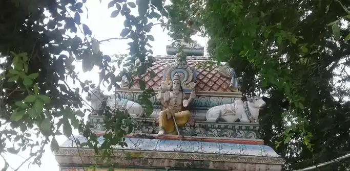 Arulmigu Thoppukinaru Vinayakar Temple, Pazhamgarai, Avinashi - 641654 அருள்மிகு தோப்புக்கிணறு விநாயகர் திருக்கோயில், Pazhamgarai, Avinashi - 641654, Tiruppur - Ancient Temple Architecture and History Image 4