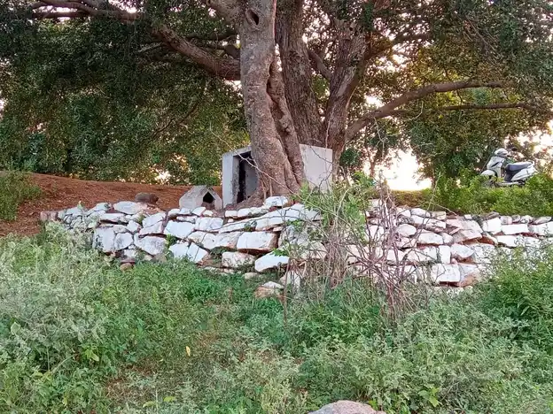 Arulmigu Thoppupatti Vinayagar, Palaya Kottai Vinayagar Temple, V.Pudukottai - 624710