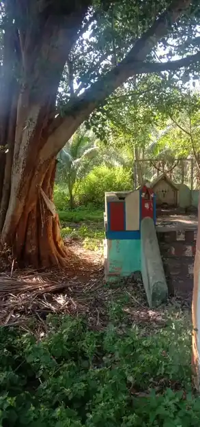 Arulmigu Thopumalai Karuppasamy Temple, Upparpatti - 625534 அருள்மிகு தோப்புமலை கருப்பசாமி திருக்கோயில், Upparpatti - 625534, Theni - Ancient Temple Architecture and History Image 2