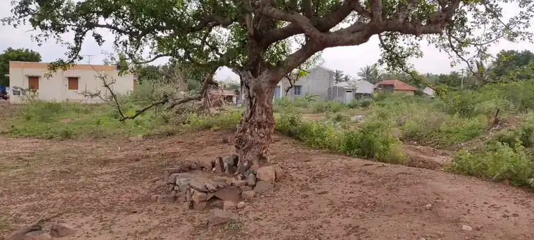 Arulmigu Thothiyathal Periyaswamy Temple, Kallivalasu - 638657