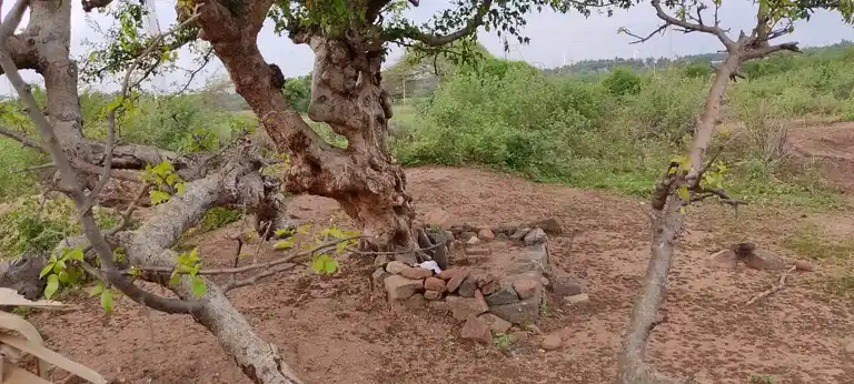 Arulmigu Thothiyathal Periyaswamy Temple, Kallivalasu - 638657 அருள்மிகு தொட்டியாத்தாள் பெரியசாமி திருக்கோயில், மோளரப்பட்டு, கள்ளிவலசு - 638657, Tiruppur - Ancient Temple Architecture and History Image 2