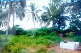 Arulmigu Thotiyodu Perumal Madam Matrum Pillayar Temple, Thiruvananthapuram Road, Thotiyodu - 629180