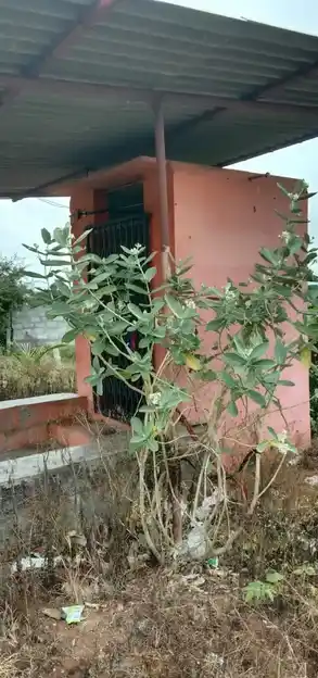 Arulmigu Thottagiri Kambath Aancheneya Swamy Temple, Avalapalli - 635109 அருள்மிகு தோட்டகிரி கம்பத் ஆஞ்சநேயசாமி திருக்கோயில், Avalapalli - 635109, Krishnagiri - Ancient Temple Architecture and History Image 2