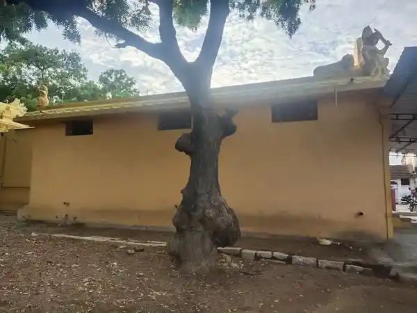 Arulmigu Thripura Sundari Muttharaman Temple, Sattankulam - 628712 அருள்மிகு திரிபுர சுந்தரி முத்தாரம்மன் திருக்கோயில், Sattankulam - 628712, Thoothukudi - Ancient Temple Architecture and History Image 3