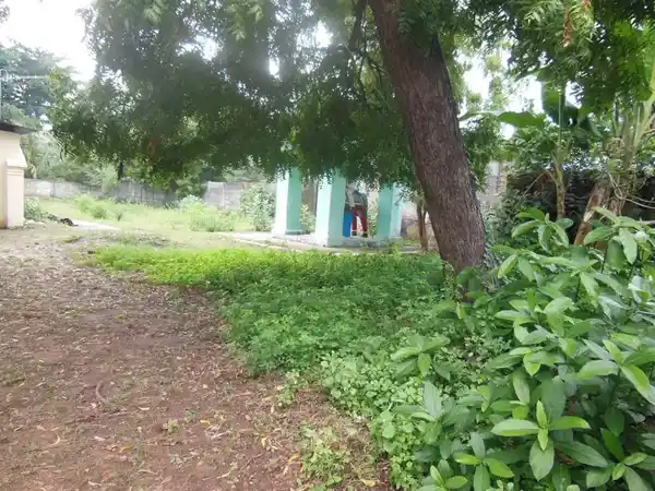 Arulmigu Throupathi Amman Temple, Manjakkollai - 611106 அருள்மிகு திரௌபதியம்மன் திருக்கோயில், Manjakkollai - 611106, Nagapattinam - Ancient Temple Architecture and History Image 4