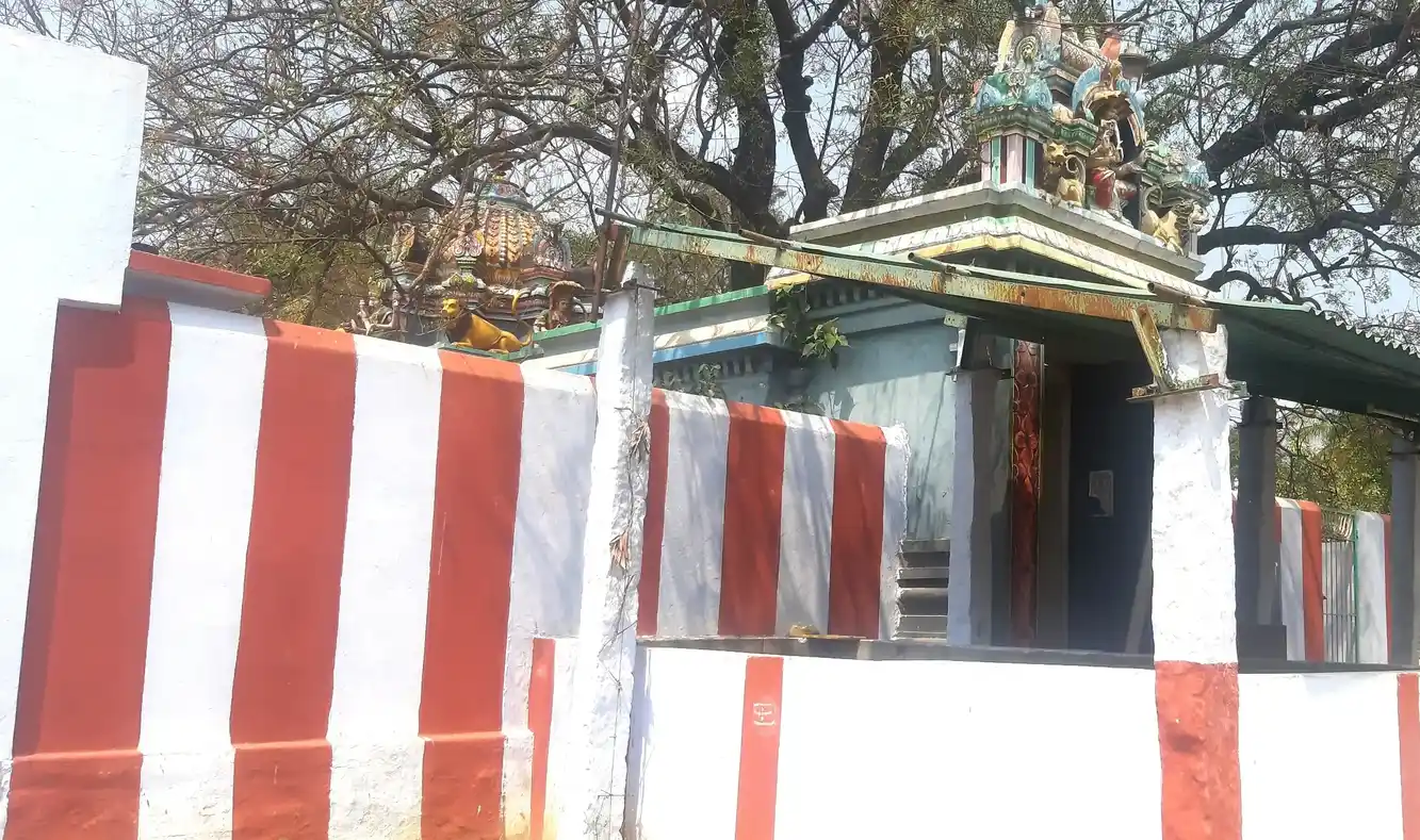 Arulmigu Throwpathi Amman Mariamman Temple, Senguttai - 632007 அருள்மிகு திரௌபதியம்மன், மாரியம்மன் திருக்கோயில், செங்குட்டை - 632007, Vellore - Ancient Temple Architecture and History Image 6