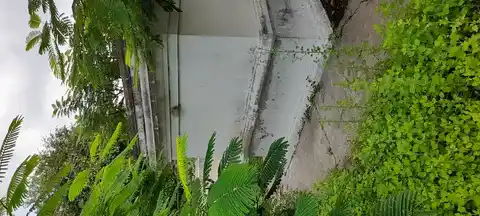 Arulmigu Throwpathi Amman Temple, Padiri - 603306 அருள்மிகு திரௌபதியம்மன் திருக்கோயில், Padiri - 603306, Chengalpattu - Ancient Temple Architecture and History Image 3