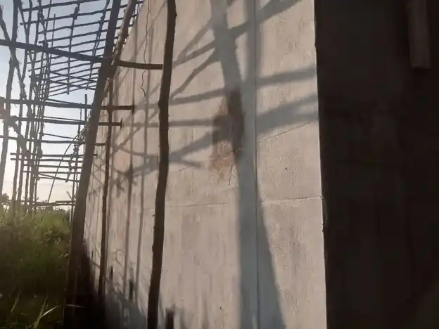 Arulmigu Throwpathi Amman Temple, Thennampakkam - 607402 அருள்மிகு திரௌபதியம்மன் திருக்கோயில், தென்னம்பாக்கம் - 607402, Cuddalore - Ancient Temple Architecture and History Image 3