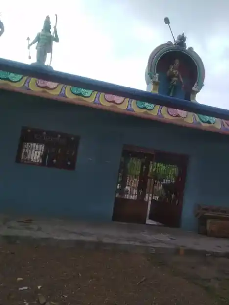 Arulmigu Throwpathi Amman Temple, Vannathur - 606302 அருள்மிகு. திரௌபதியம்மன் திருக்கோயில், Vannathur - 606302, Cuddalore - Ancient Temple Architecture and History Image 4