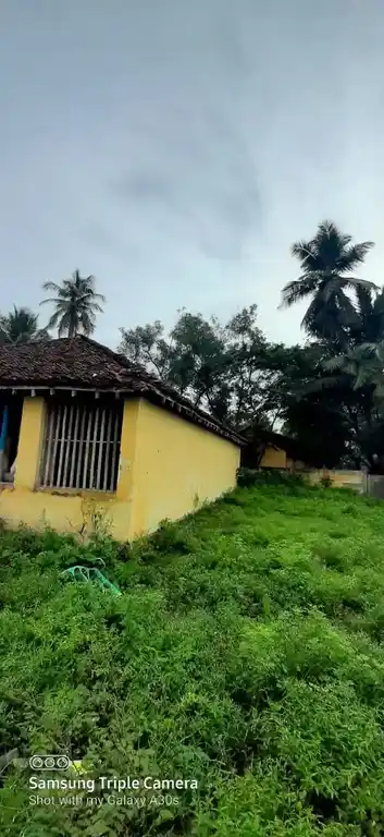 Arulmigu Throwpathiyamman Temple, Paravanur - 612504