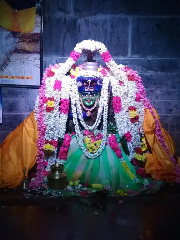 Arulmigu Throwpathiyamman Temple, Sagadevan Peetai - 605103 அருள்மிகு திரௌபதியம்மன் திருக்கோயில், Sagadevan Peetai - 605103, Viluppuram - Ancient Temple Architecture and History Image 8