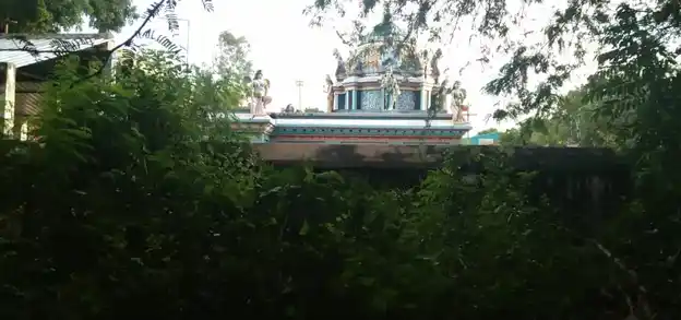Arulmigu Throwpathiyamman Temple, T.Puthupalaiyam - 605654 அருள்மிகு திரௌபதியம்மன் திருக்கோயில், T.Puthupalaiyam - 605654, Viluppuram - Ancient Temple Architecture and History Image 4