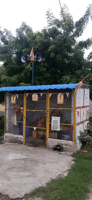Arulmigu Throwpathiyamman Temple, Thennerkunam - 604102