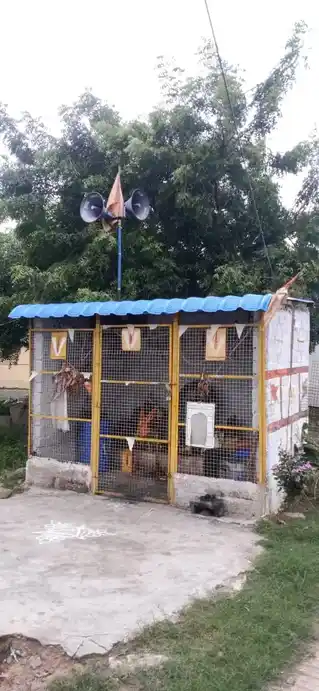 Arulmigu Throwpathiyamman Temple, Thennerkunam - 604102 அருள்மிகு திரௌபதியம்மன் திருக்கோயில், Thennerkunam - 604102, Viluppuram - Ancient Temple Architecture and History Image 3