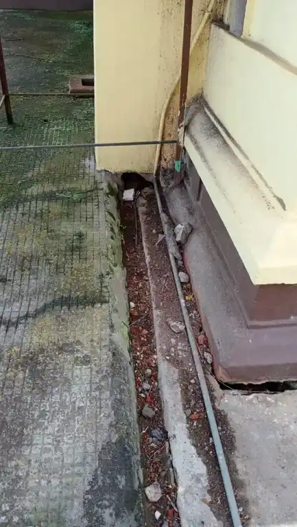 Arulmigu Thulirkathamman Temple, Victoryya Hall, Ooty - 643001 அருள்மிகு துளிர்காத்தம்மன் திருக்கோயில், விக்டோரியா ஹால், Ooty - 643001, Nilgiris - Ancient Temple Architecture and History Image 2