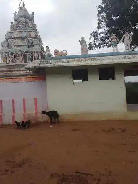 Arulmigu Thulukampatti Mariyamman Temple, Thuvarankurichi - 621310 Arulmigu Thulukampatti mariyamman Temple, Thuvarankurichi - 621310, Thiruchirappalli - Ancient Temple Architecture and History Image 5