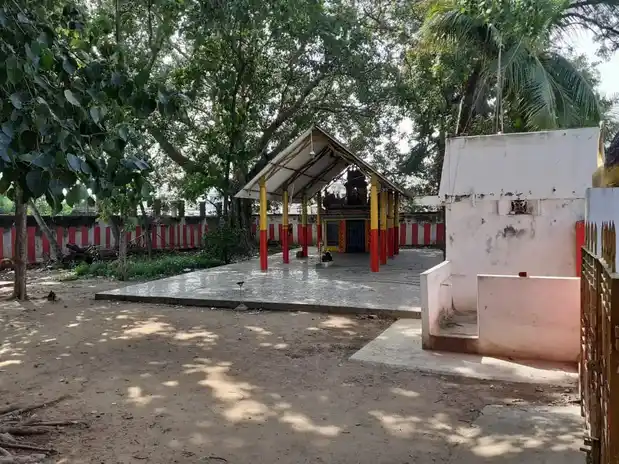 Arulmigu Thulukkanathamman Temple, Thoppukana, Arcot - 632503 அருள்மிகு துலுக்கானத்தம்மன் திருக்கோயில், தோப்புகானா, ஆற்காடு - 632503, Ranipet - Ancient Temple Architecture and History Image 3