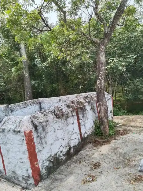 Arulmigu Thumpodu Sastha Temple, Thumpakkodu, Kulasekharam - 629161 Arulmigu Thumpodu Sastha Temple, Thumpakkodu, குலசேகரம் - 629161, Kanyakumari - Ancient Temple Architecture and History Image 2
