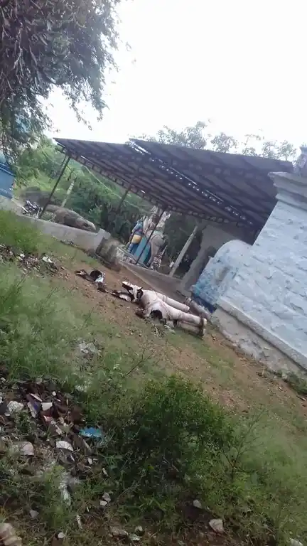 Arulmigu Thurusumalai Ayyanar Temple, Kulasekarankottai - 625218 அருள்மிகு துரதமலை அய்யனார் திருக்கோயில், Kulasekarankottai - 625218, Madurai - Ancient Temple Architecture and History Image 3