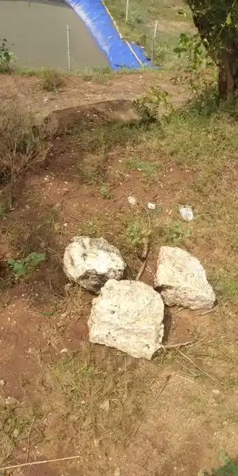 Arulmigu Thuruvathupatti Kannimaar Temple, Thiruvathupatty - 624706 அருள்மிகு துருவத்துபட்டி கன்னிமார் திருக்கோயில், Thiruvathupatty - 624706, Dindigul - Ancient Temple Architecture and History Image 3