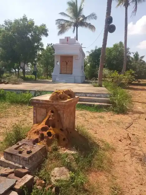 Arulmigu Tulasiamman Temple, Vadipatti - 624621 அருள்மிகு துளசியம்மன் திருக்கோயில், Vadipatti - 624621, Dindigul - Ancient Temple Architecture and History Image 3