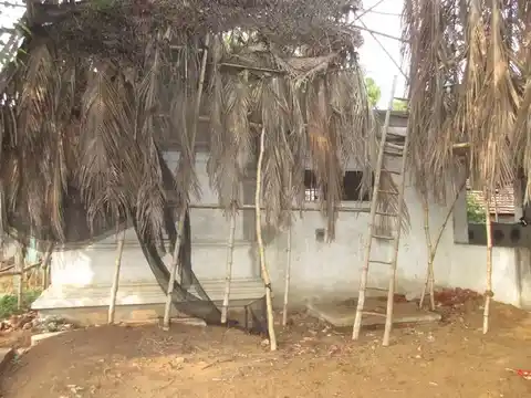 Arulmigu Uchimahaliyamman Temple, Tholuvur - 612804 Arulmigu Uchimahaliyamman Temple, Tholuvur - 612804, Thiruvarur - Ancient Temple Architecture and History Image 5