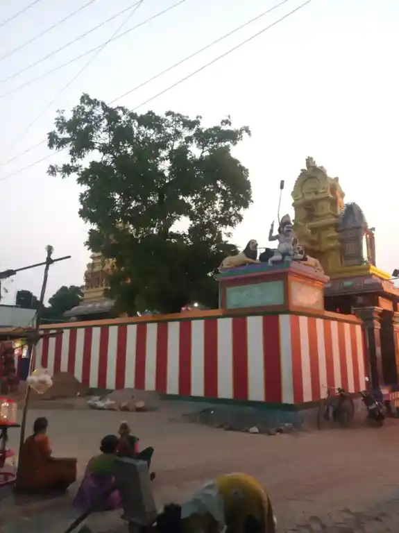Arulmigu Uchinimahaliamman Temple, Middle Of The Street, Sankarankoil - 627756 அருள்மிகு உச்சினிமாகாளியம்மன் திருக்கோயில், Middle Of The Street, Sankarankoil - 627756, Tenkasi - Ancient Temple Architecture and History Image 4