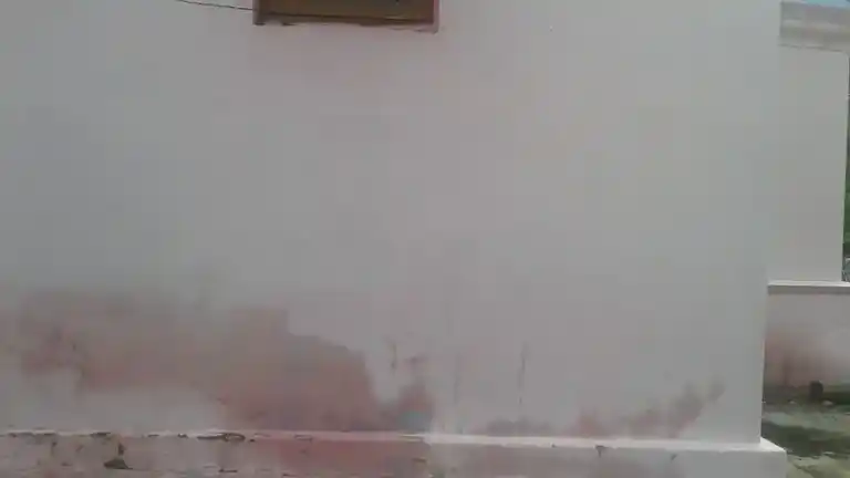 Arulmigu Udayadevar Mariamman Temple, Sukkampatti, Valasaiyur - 636114 அருள்மிகு உதயதேவர் மாரியம்மன் திருக்கோயில், சுக்கம்பட்டி, வலசையூர் - 636114, Salem - Ancient Temple Architecture and History Image 3