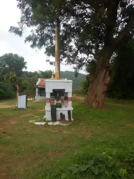 Arulmigu Ulagalantha Perumal Temple, Mangarai, 24 Veerapandi - 641018