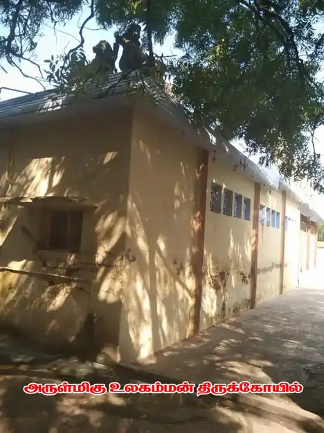 Arulmigu Ulagamman Temple, Aykudi - 627852 Arulmigu Ulagamman Temple, Aykudi - 627852, Tenkasi - Ancient Temple Architecture and History Image 3