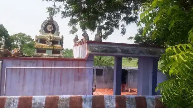 Arulmigu Ulagamman Temple, Middle Of The Village, Mela Ilanthai Kulam - 627953 அருள்மிகு உலகம்மன் திருக்கோயில், Middle Of The Village, Mela Ilanthai Kulam - 627953, Tirunelveli - Ancient Temple Architecture and History Image 3