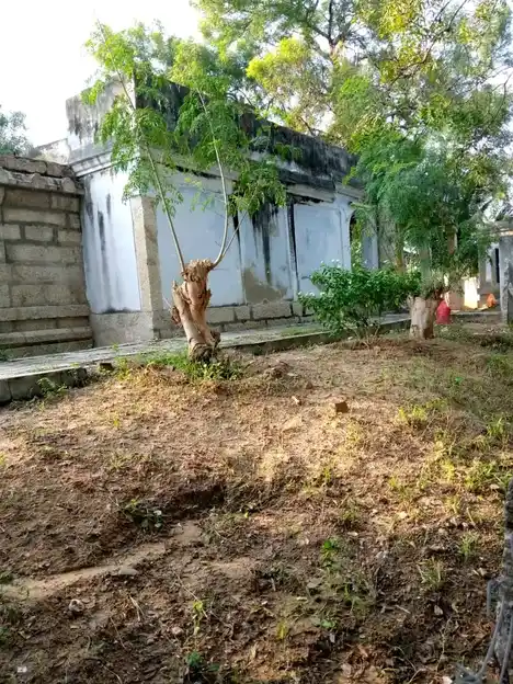 Arulmigu Ulagamman Temple, Sirumalanji - 627103 அருள்மிகு உலகம்மன் திருக்கோயில், Sirumalanji - 627103, Tirunelveli - Ancient Temple Architecture and History Image 4