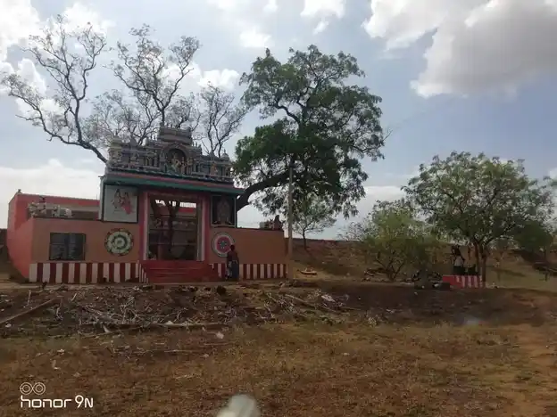 Arulmigu Ulagudaiyar Sastha Temple, Village Outside, Vadanatham Patti - 627862 அருள்மிகு உலகுடையார் சாஸ்தா திருக்கோயில், Village Outside, Vadanatham Patti - 627862, Tenkasi - Ancient Temple Architecture and History Image 3