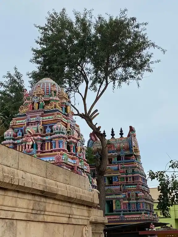 Arulmigu Ullagalandha Perumal Temple, Singanallur, Coimbatore - 641005 Arulmigu Ullagalandha Perumal Temple, சிங்காநல்லூர், கோவை - 641005, Coimbatore - Ancient Temple Architecture and History Image 9